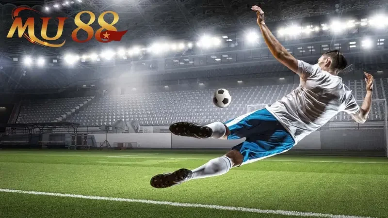 Bí quyết để cá cược bóng đá Châu Âu tỷ lệ thắng lớn