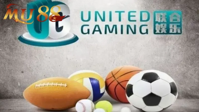 Cập nhật đa dạng bộ môn cá cược